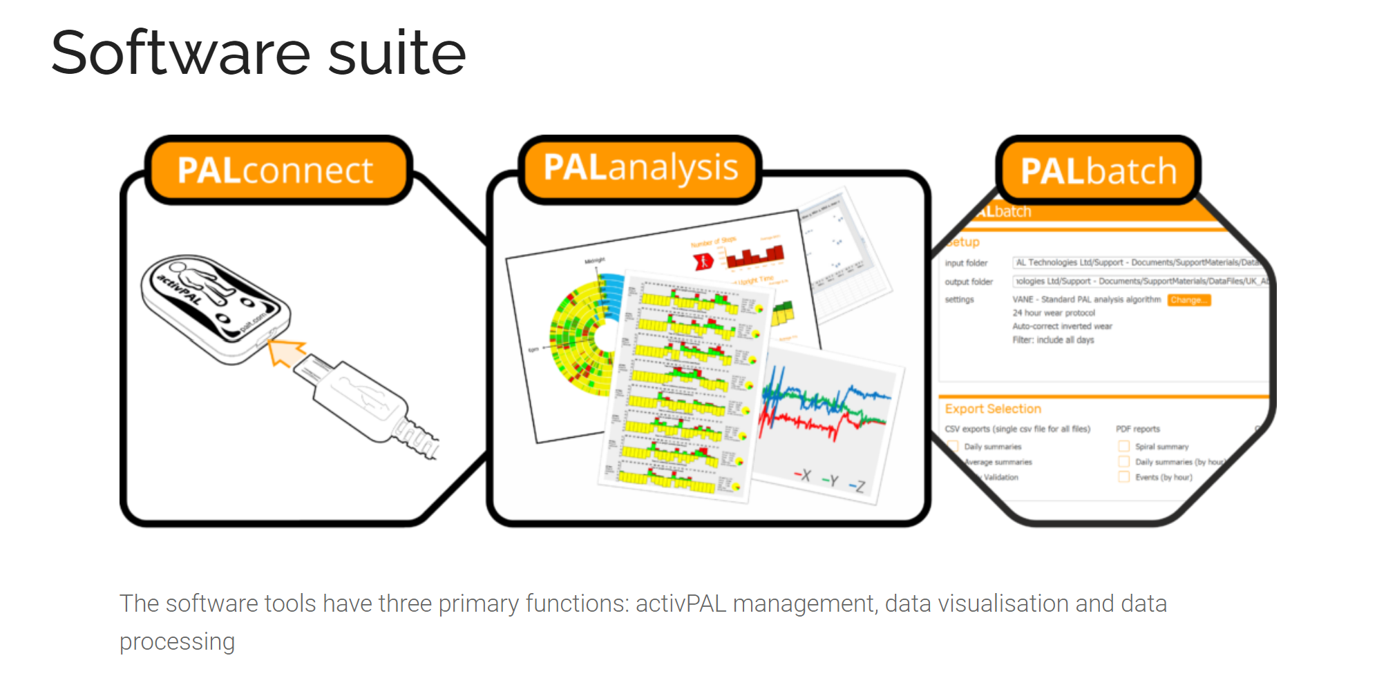 Graphic illustration introducing a software suite with three components: ActivPAL palconnect, palanalysis, and palbatch, indicating their functions in data management, visualization, and processing.