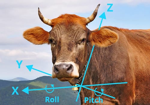 A cow with steer horns stands in a field, with blue X, Y, and Z axes overlaid like navigational elements, indicating roll and pitch.